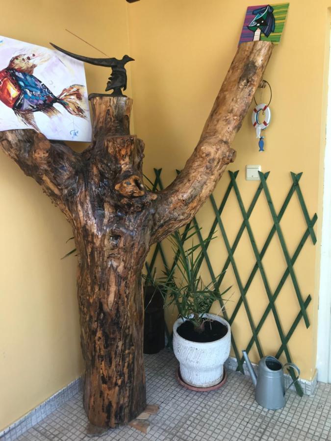 Arte Casa Lejlighed Burgas City Eksteriør billede